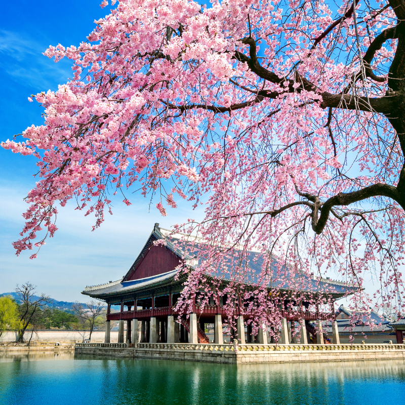 Gyeongbokgung Palace